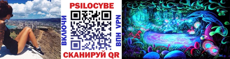 Галлюциногенные грибы Psilocybine cubensis  Волжский 